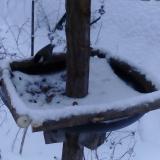 photo 2019-01-08 15-53-48