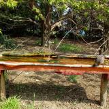 photo 2021-04-22 10-20-11