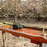 photo 2021-03-19 08-16-37