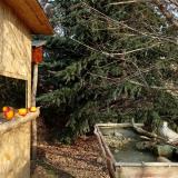 photo 2021-12-22 10-21-45