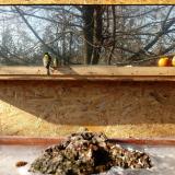 photo 2022-01-19 12-23-03