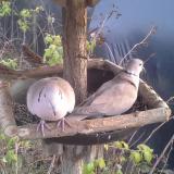 photo 2019-12-15 15-01-25