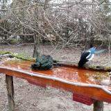 photo 2021-03-22 07-19-07