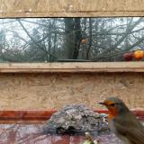 photo 2022-01-25 10-51-28