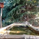 photo 2023-10-12 10-08-32