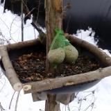 photo 2019-01-10 10-43-49