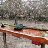 photo 2021-03-24 14-52-52