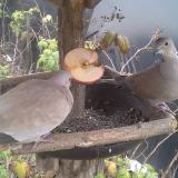 photo 2019-12-05 13-01-42