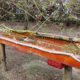 photo 2021-04-02 16-17-18