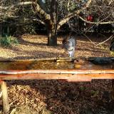 photo 2021-10-28 09-15-41