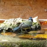 photo 2023-10-25 13-29-09 kekcinege