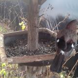 photo 2019-12-25 09-08-11