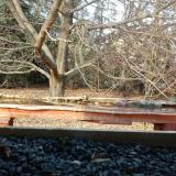 photo 2021-11-01 14-09-51