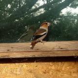 photo 2023-10-24 08-52-54 meggyvago