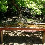 photo 2021-05-10 11-01-48