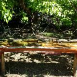 photo 2021-05-10 10-28-12