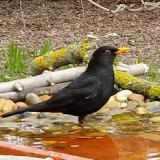 photo 2021-03-22 10-36-13 rigo