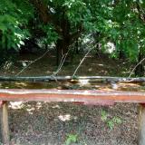 photo 2021-07-04 11-45-41