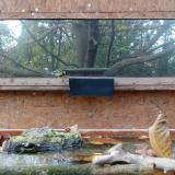 photo 2023-10-25 16-17-37