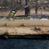 photo 2021-11-10 11-03-41