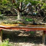 photo 2021-04-24 15-41-08