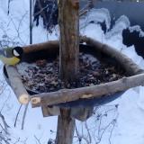 photo 2019-01-07 08-23-05