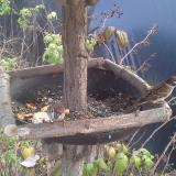 photo 2019-12-08 13-08-19