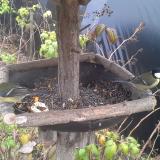 photo 2019-12-09 12-42-18