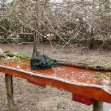 photo 2021-03-19 08-29-01