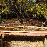 photo 2021-10-19 13-26-08