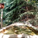 photo 2023-10-11 12-38-26