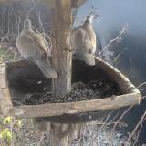 photo 2019-12-28 12-57-08