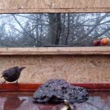 photo 2022-01-30 07-09-06