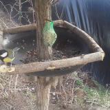 photo 2019-02-13 13-44-08