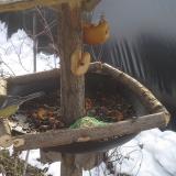 photo 2019-01-31 10-26-09