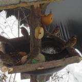 photo 2019-01-28 10-30-46