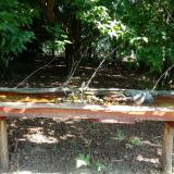 photo 2021-07-23 09-57-09