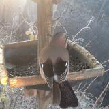 photo 2019-12-30 08-14-40