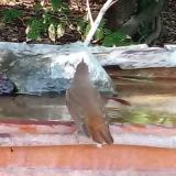 photo 2021-09-08 16-54-58 fulemule