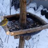 photo 2019-01-07 08-19-09