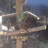 photo 2019-02-12 10-53-19