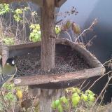 photo 2019-12-12 11-01-27