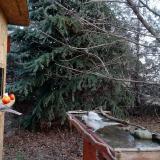 photo 2021-12-15 08-54-11