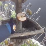 photo 2019-12-04 07-23-06