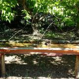 photo 2021-05-10 10-05-23