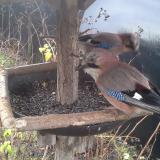 photo 2019-12-25 09-00-22