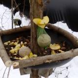 photo 2019-01-12 11-58-36