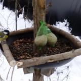 photo 2019-01-10 09-57-48