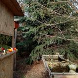 photo 2021-12-18 13-20-29