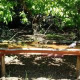 photo 2021-05-10 10-15-06